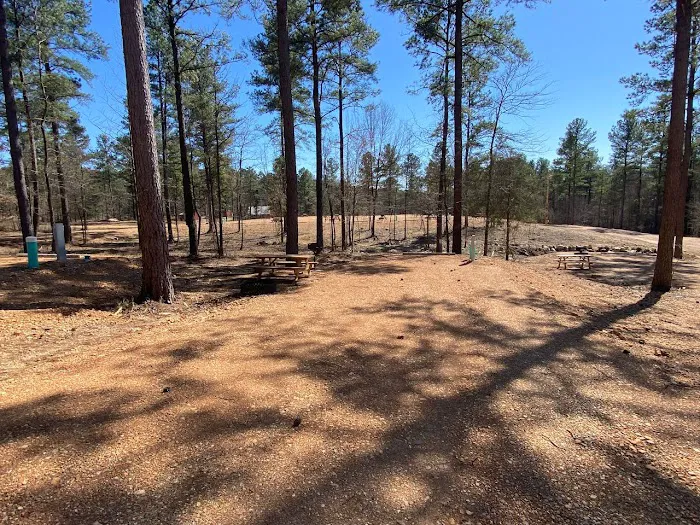 Kick it Back Cabins and RV Park Picture 3