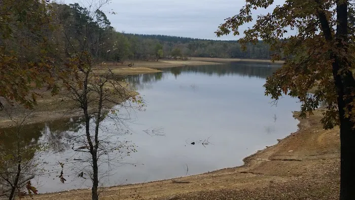Kirby Landing Picture 2