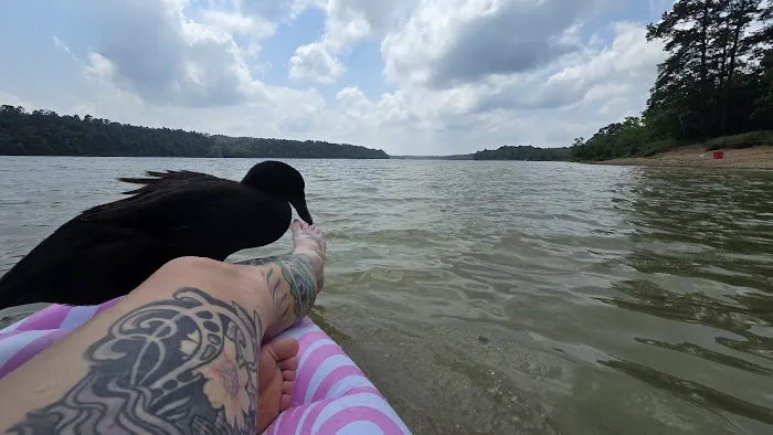 Lake Greeson Campgrounds Picture 2