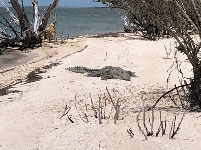 Middle Cape Picture 4