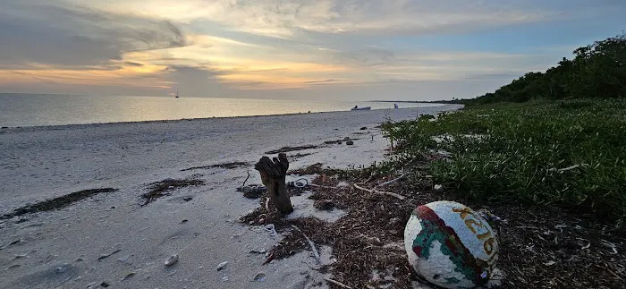 Middle Cape Picture 8