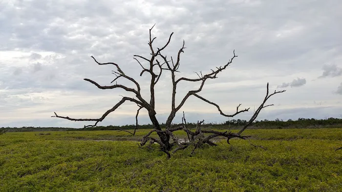 Clubhouse Beach Picture 6