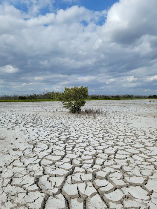 Clubhouse Beach Picture 1