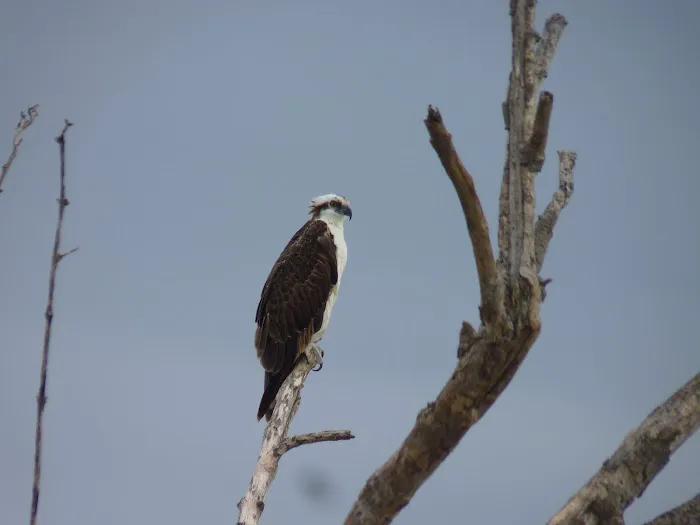 Clubhouse Beach Picture 7