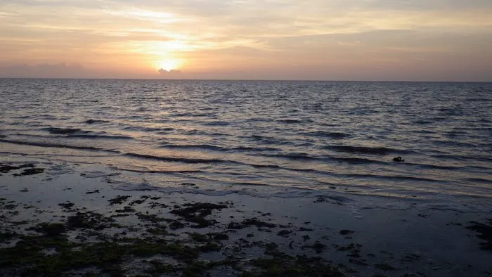 East Cape Campsite Picture 4