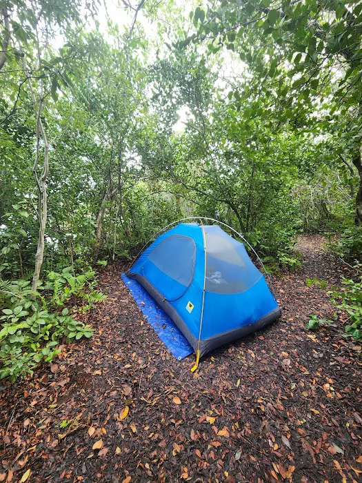 Lard Can Campsite Picture 3