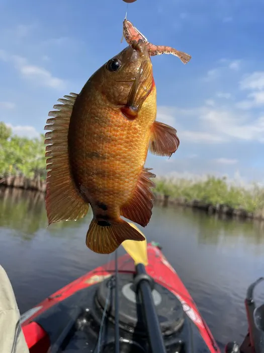 Lard Can Campsite Picture 8