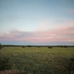 East Clubhouse Beach