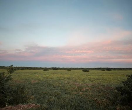East Clubhouse Beach