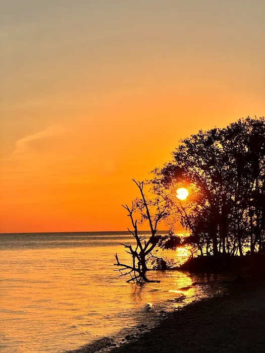 East Clubhouse Beach Picture 5