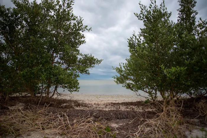East Clubhouse Beach Picture 3