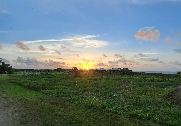 Flamingo Campground T Loop Picture 6