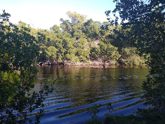 Flamingo Campground T Loop Picture 7