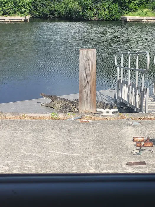 Flamingo Campground T Loop Picture 10