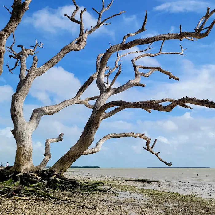 Flamingo Eco-Tent Campgrounds Picture 8