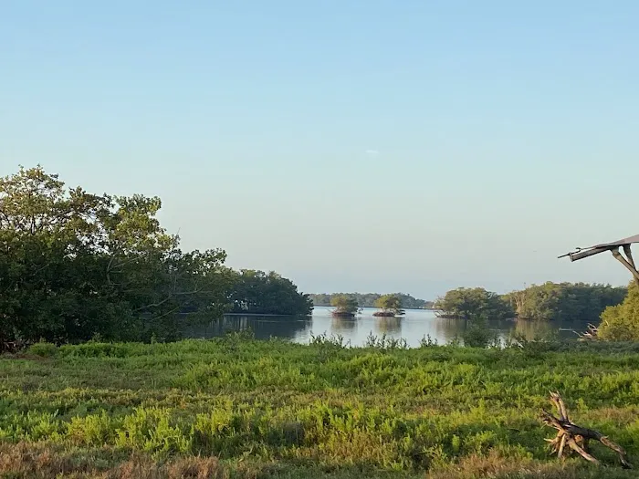 Flamingo Eco-Tent Campgrounds Picture 5