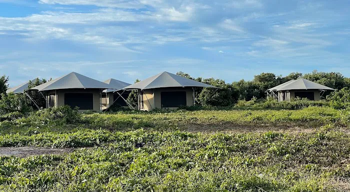 Walk-In Tent Camping Picture 2