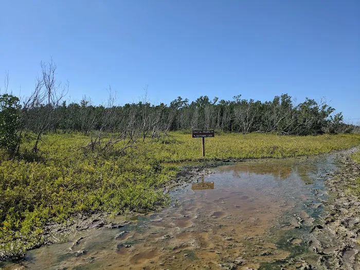 Walk-In Tent Camping Picture 10
