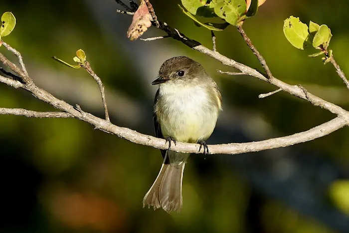 Walk-In Tent Camping Picture 7