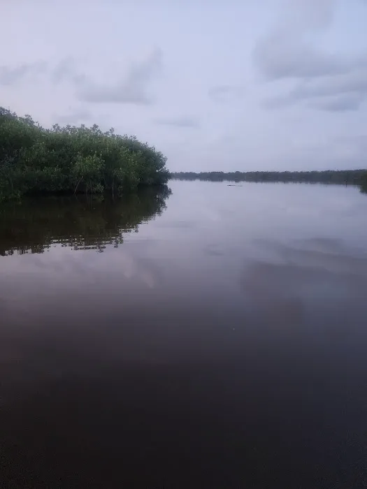 Alligator Creek Campsite Picture 6