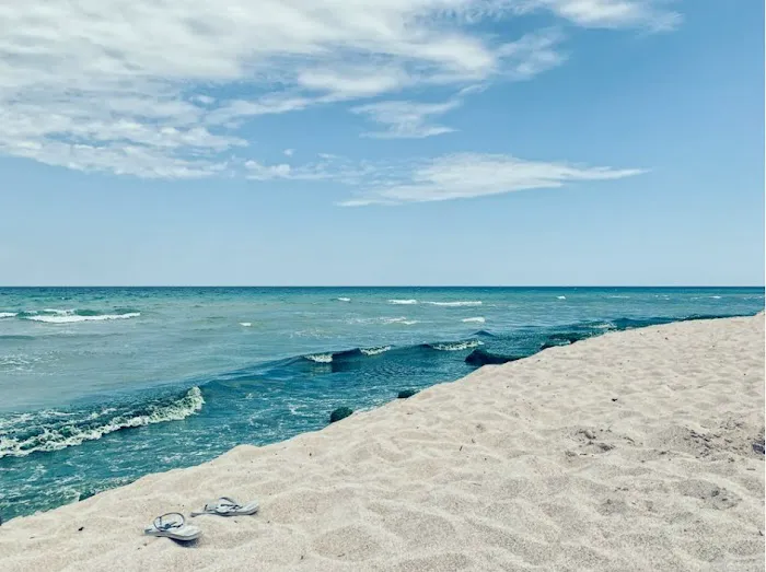 Alligator Creek Campsite Picture 1