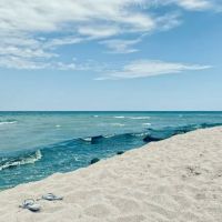 Alligator Creek Campsite ico