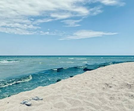 Alligator Creek Campsite