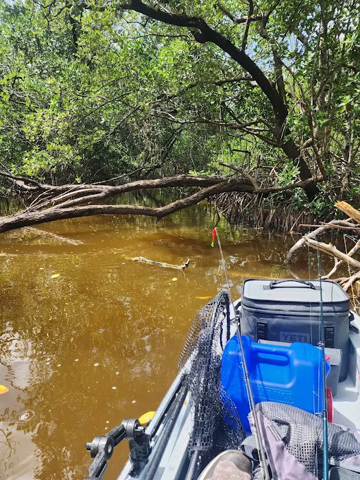 Alligator Creek Campsite Picture 8