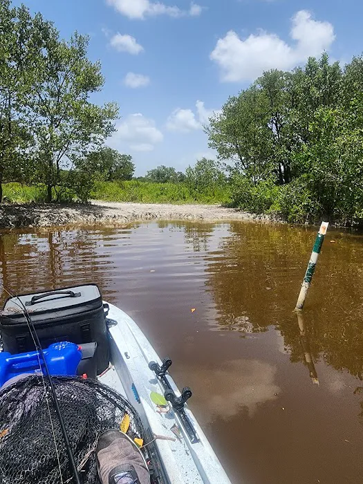 Alligator Creek Campsite Picture 2