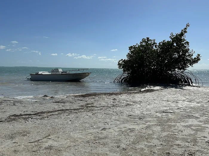 North Nest Key Picture 8