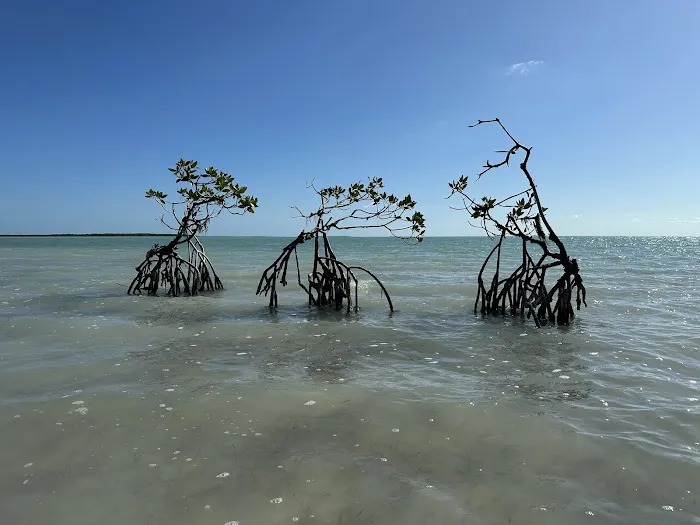 North Nest Key Picture 7