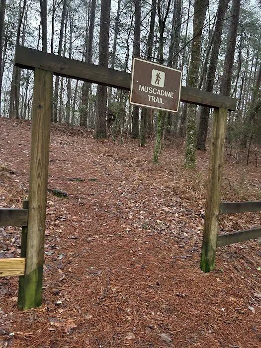 Roosevelt State Park Campground Picture 3