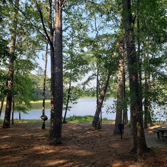 Roosevelt State Park Campground Picture 9