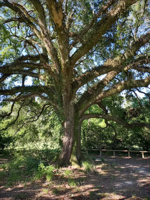 Gryphon's Nest Campground Picture 5