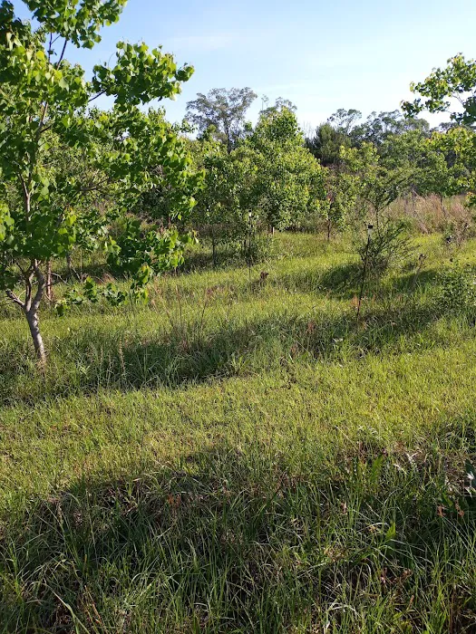 Gryphon's Nest Campground Picture 3