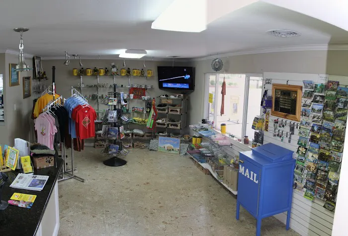 Baton Rouge KOA Holiday Picture 2