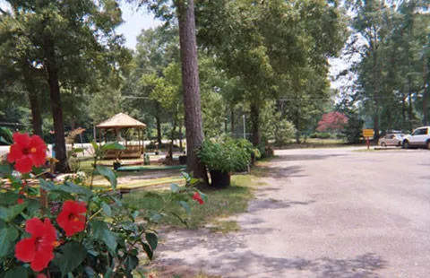 Baton Rouge KOA Holiday Picture 7
