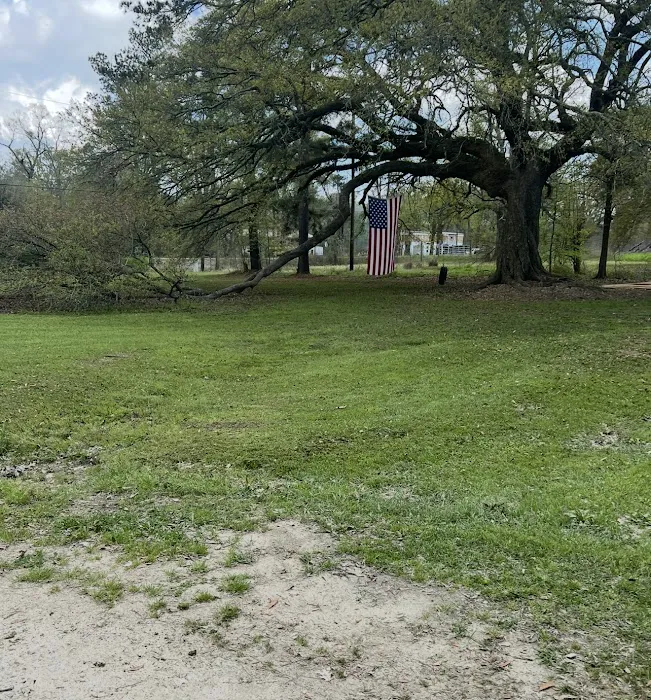 Ashley’s campsites Picture 7