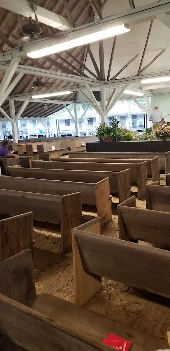 Felder Campground Picture 5