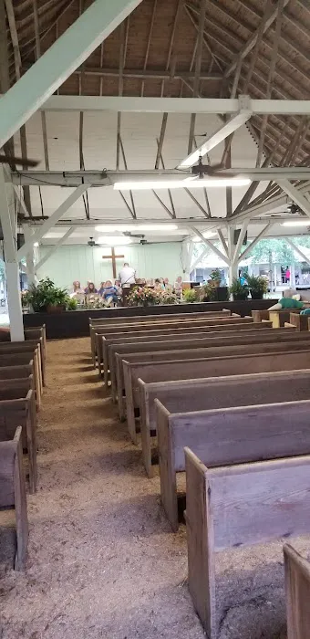 Felder Campground Picture 8