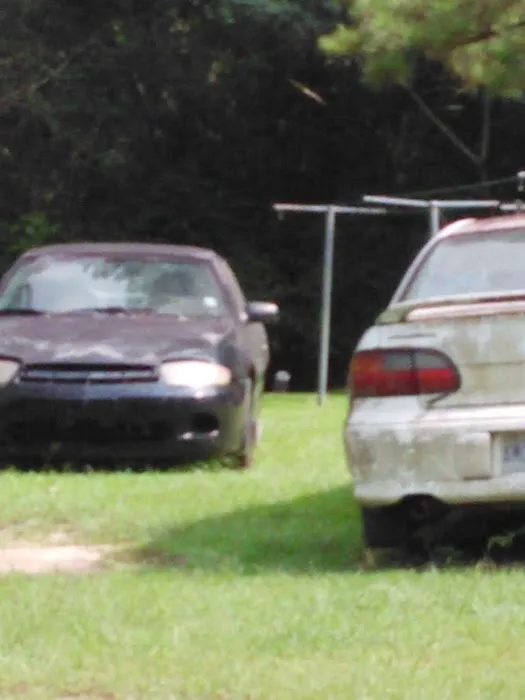 Forestry Department Picture 8