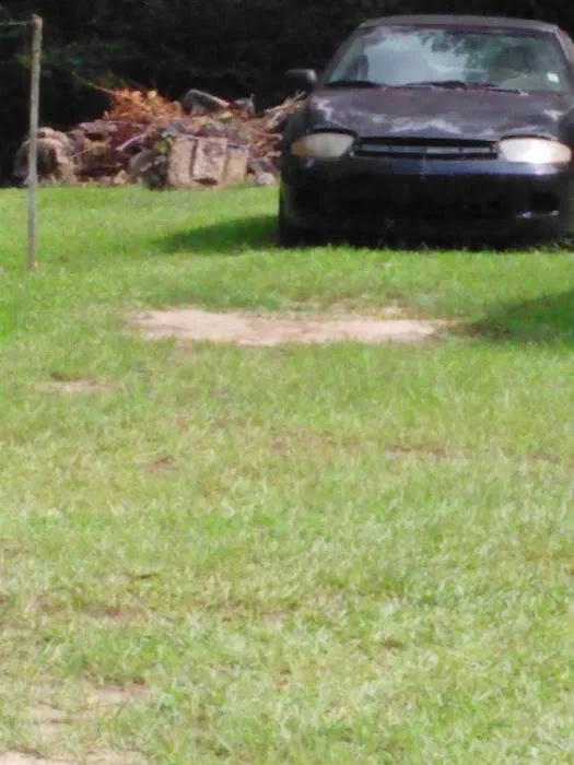 Forestry Department Picture 6