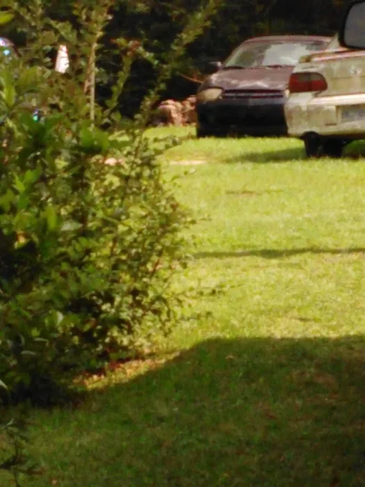 Forestry Department Picture 4