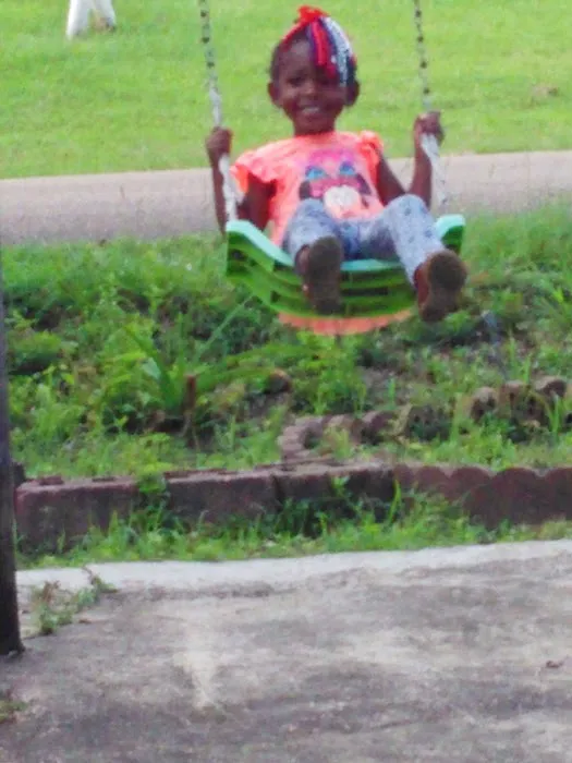 Forestry Department Picture 5