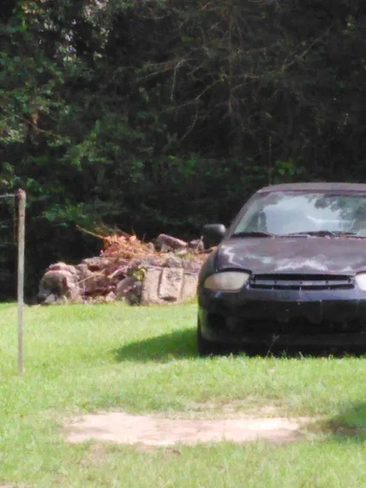 Forestry Department Picture 7