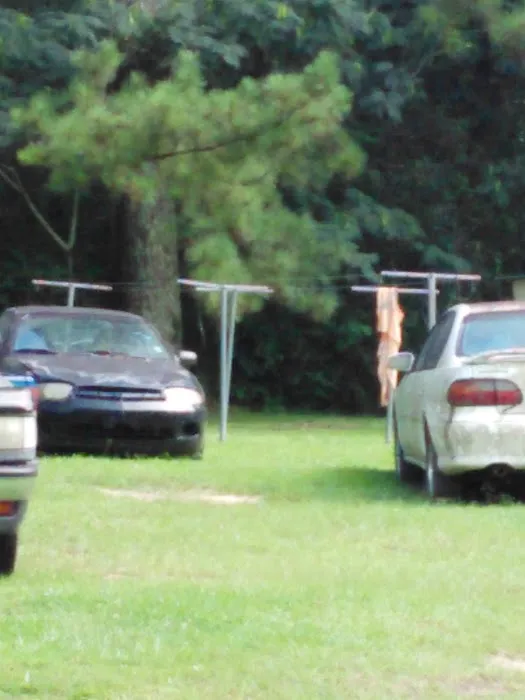 Forestry Department Picture 9