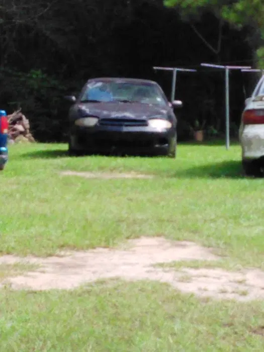 Forestry Department Picture 1