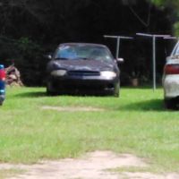 Forestry Department ico