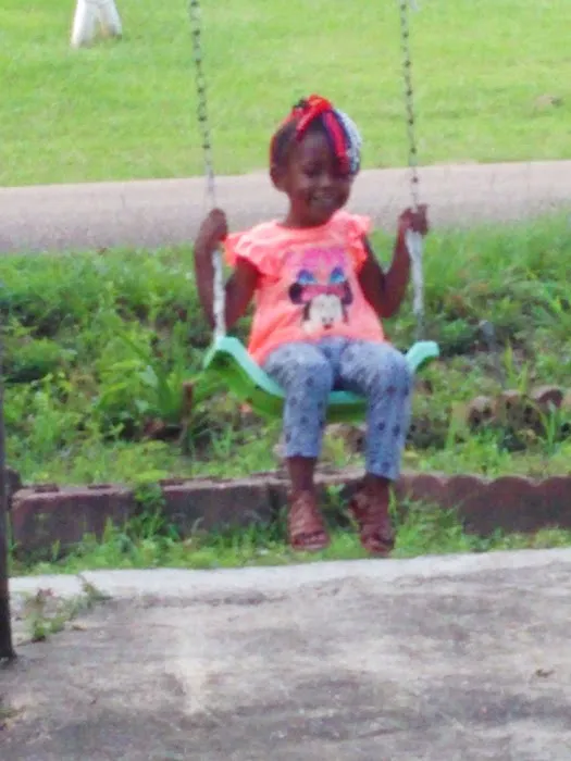 Forestry Department Picture 3