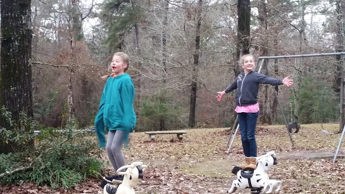 Vance Park Picture 8